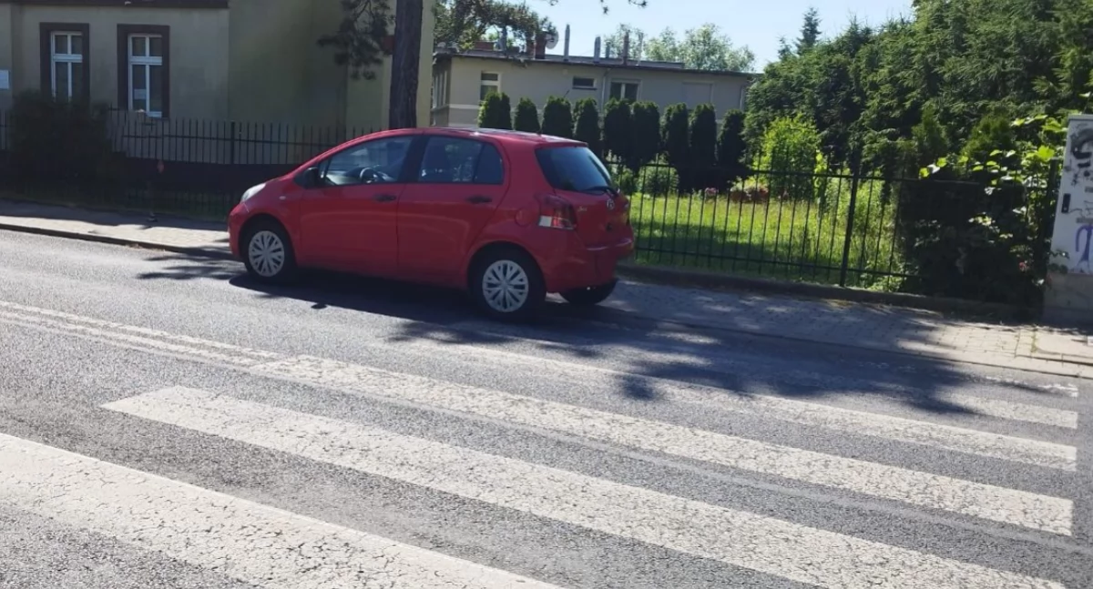 fot. Straż Miejska Jelenia Góra