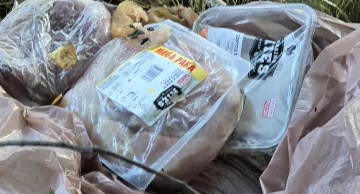 Absurdy, Będzie mięsna afera Jeleniej Górze Ktoś wyrzucił kilkadziesiąt kilogramów sklepowego mięsa między osiedlem Wojcieszycami - zdjęcie, fotografia