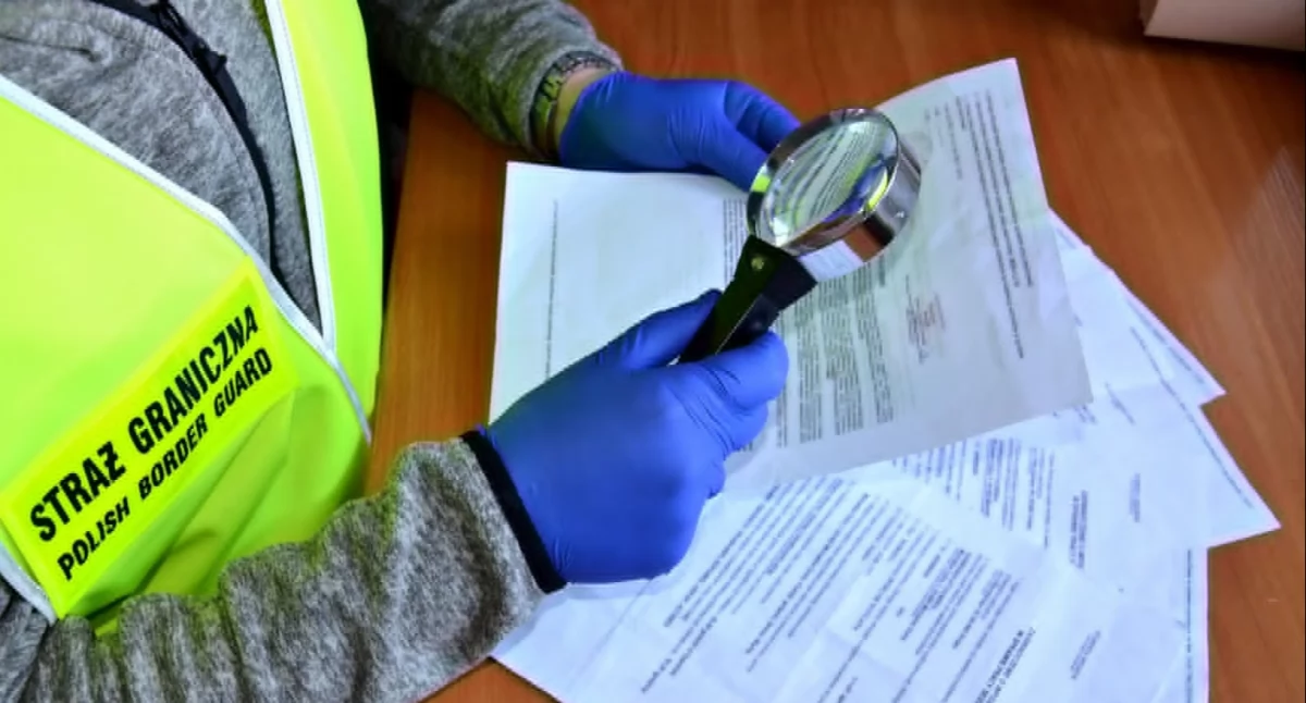 Interwencje, Kontrola firmy budowlanej Odkryto nielegalnie zatrudnionych obcokrajowców - zdjęcie, fotografia