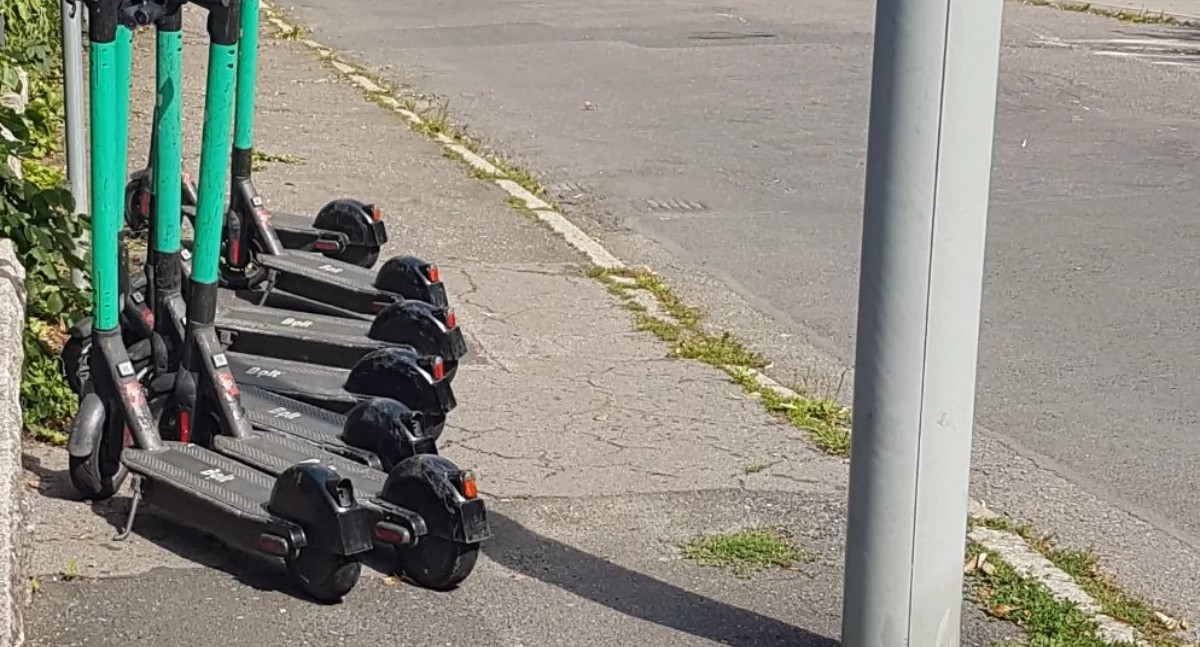 fot. Straż Miejska Jelenia Góra
