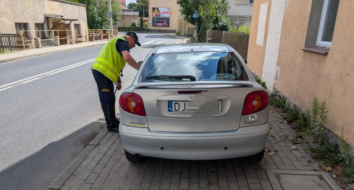 fot. Straż Miejska Jelenia Góra