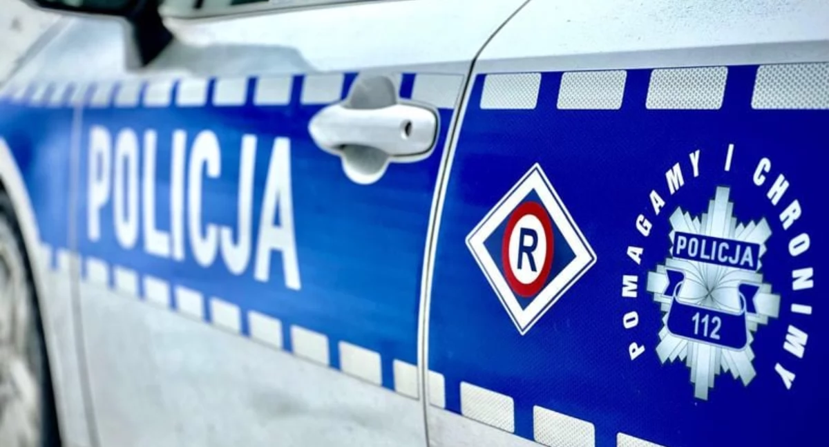 Zaginieni, letni chłopiec zaginął szlaku turystycznym poszukiwaniu pomogli policjanci - zdjęcie, fotografia