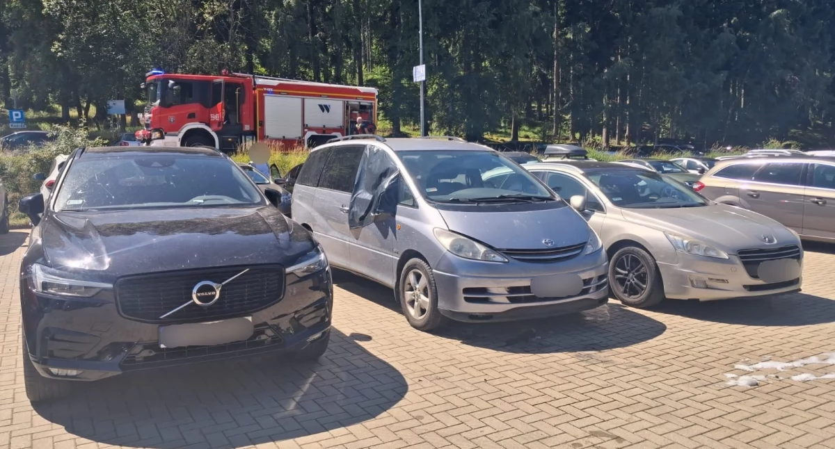 Z ostatniej chwili, Karpacz pożar samochodu parkingu Szybka interwencja strażaków - zdjęcie, fotografia