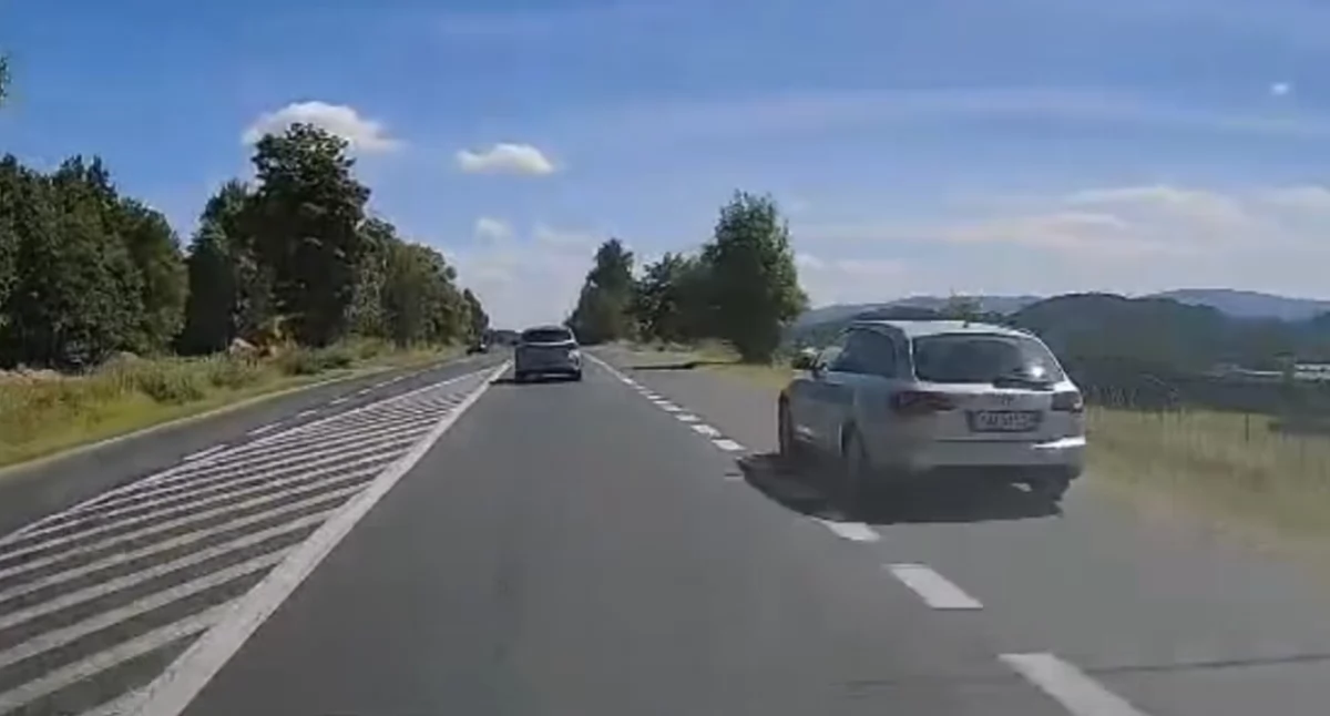 fot. zrzut ekranu / Stop Cham