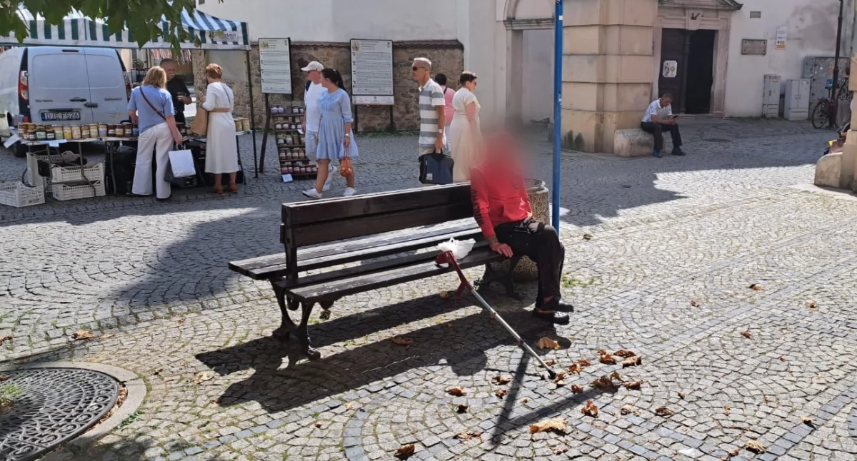 Absurdy, Bezdomny ławce centrum miasta uprzykrza życie mieszkańcom przedsiębiorcom - zdjęcie, fotografia