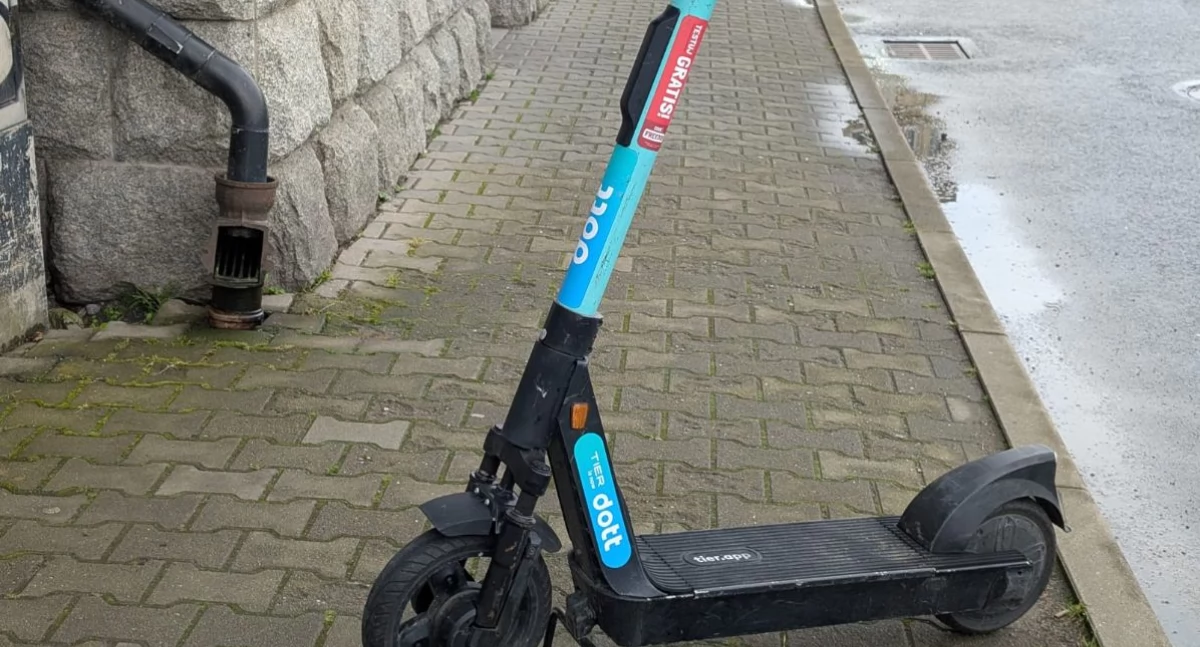 fot. Straż Miejska Jelenia Góra