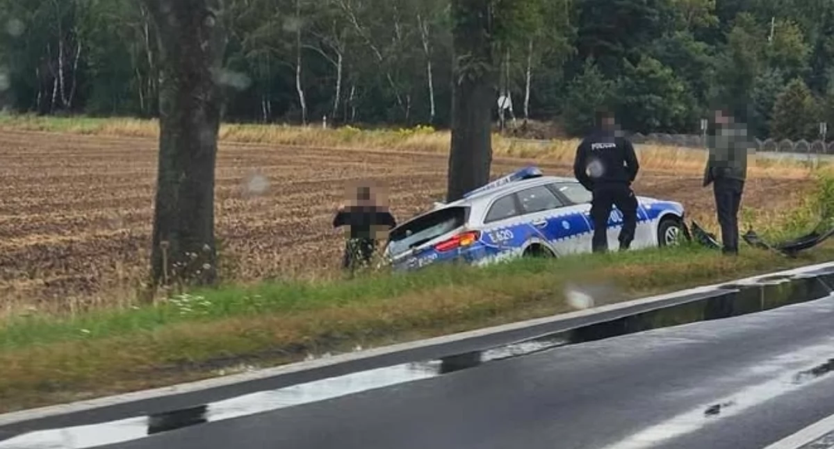 Wypadki drogowe, Radiowóz rowie spotkaniu sarną szczęśliwy finał groźnej sytuacji Bolesławcem - zdjęcie, fotografia