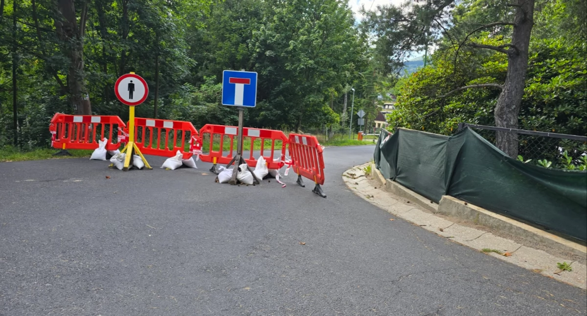 Absurdy, Szklarska Poręba dalej podkopanymi drzewami Fragment ulicy Kopernika będzie zamknięty przynajmniej września - zdjęcie, fotografia