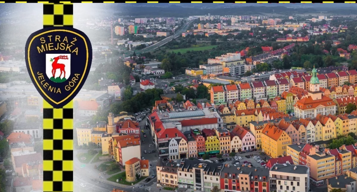 fot. Straż Miejska Jelenia Góra