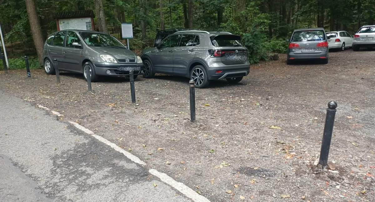 Absurdy, Dzikie parkowanie Świeradowie wyrwany słupek lesie - zdjęcie, fotografia