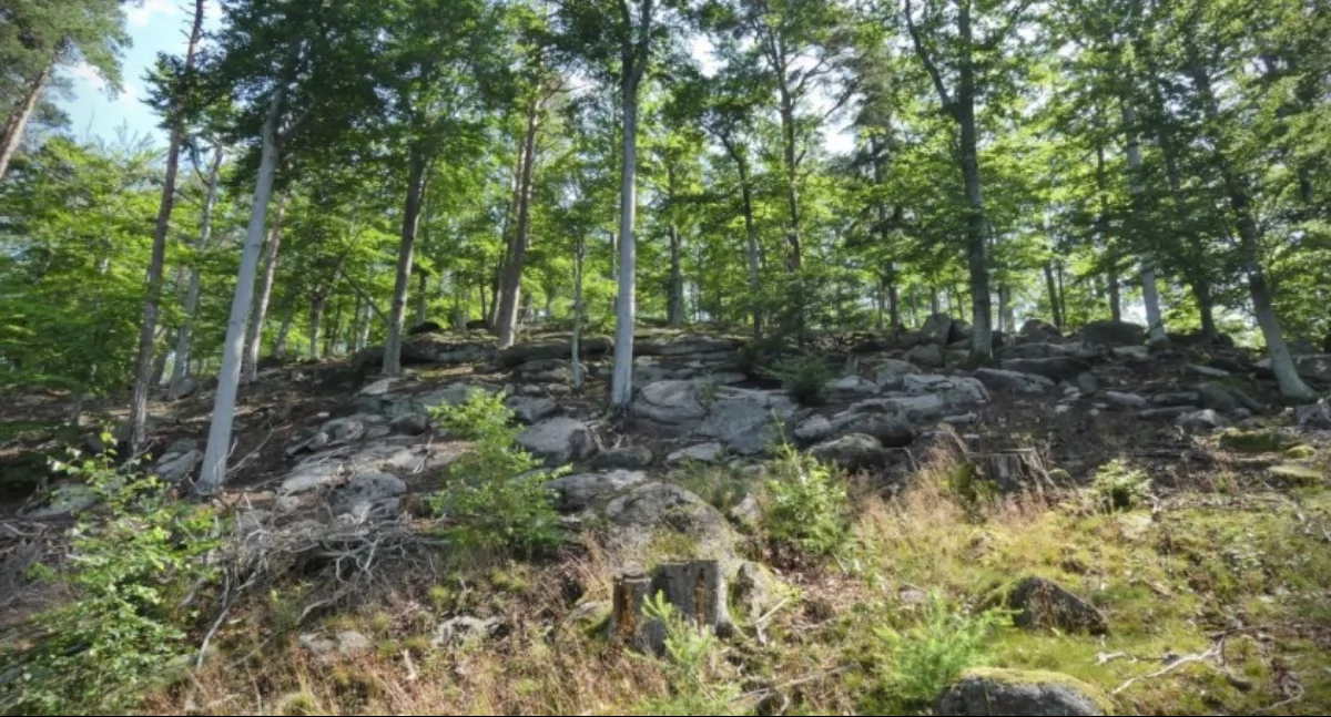 fot. Karkonosze GO