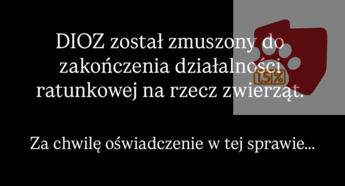 Zwierzęta, informuje zakończeniu działalności oświadczenie - zdjęcie, fotografia