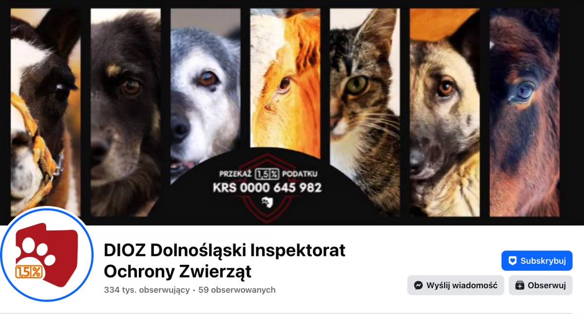 Zwierzęta, jednak będzie dalej działał dzięki ludziom wspierającym instytucję - zdjęcie, fotografia