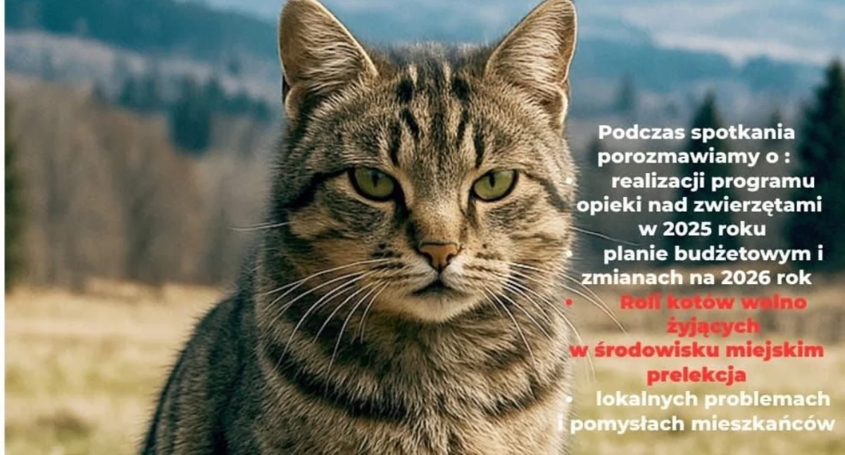 Zwierzęta, Spotkanie miłośników zwierząt Szklarskiej Porębie - zdjęcie, fotografia