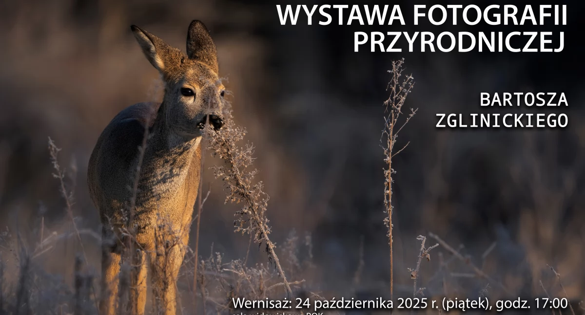 Wystawy, Spotkanie naturą obiektywie Wernisaż fotografii Bartosza Zglinickiego Piechowicach - zdjęcie, fotografia