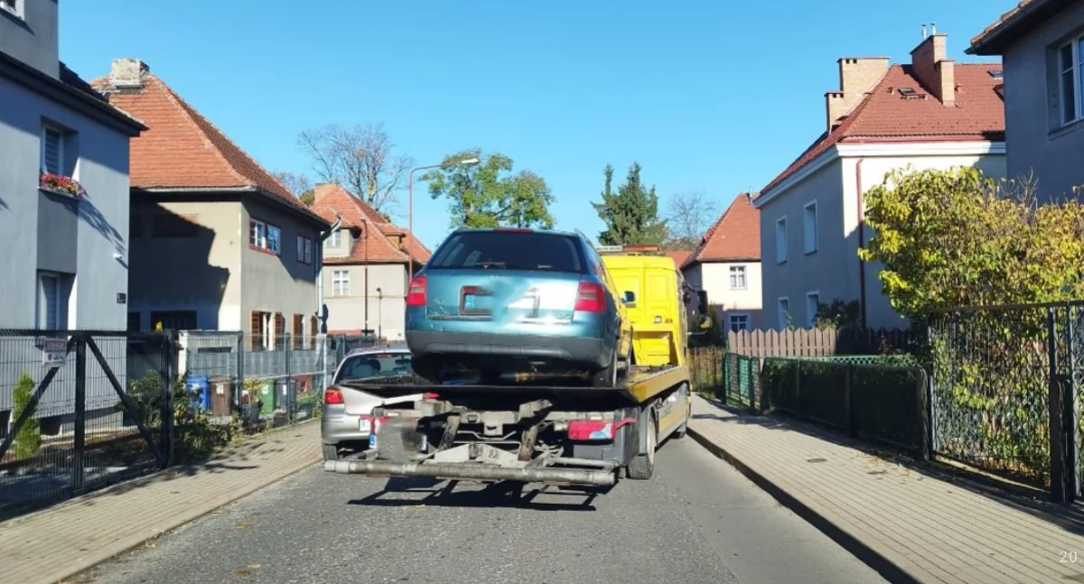 fot. Straż Miejska Jelenia Góra