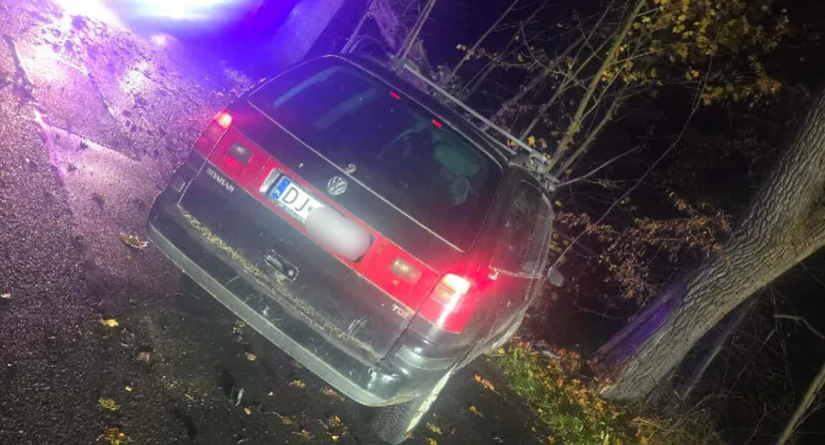 Wypadki drogowe, Volkswagen uderzył drzewo drodze Piechowic miejscu było nikogo - zdjęcie, fotografia