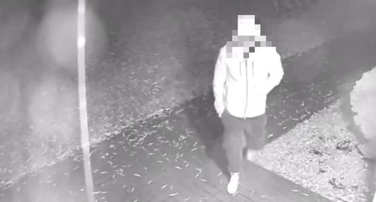 Kronika Kryminalna, latek zniszczył kamery monitoringu wspólnoty mieszkaniowej Grozi więzienia - zdjęcie, fotografia