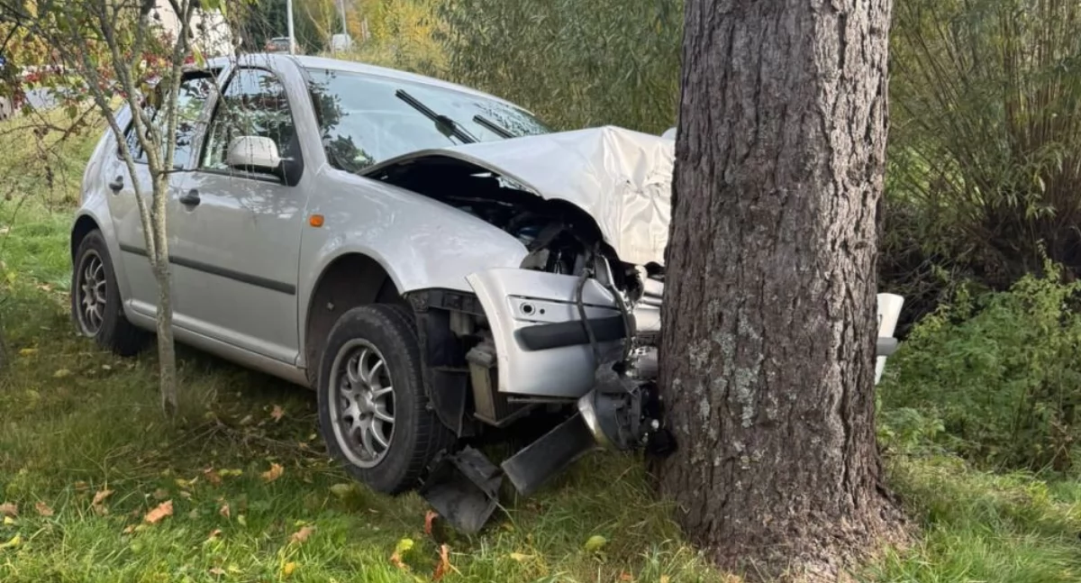 Wypadki drogowe, Kierowca zasłabł uderzyło drzewo - zdjęcie, fotografia