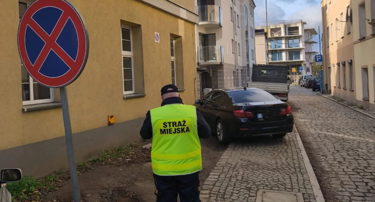 fot. Straż Miejska Jelenia Góra