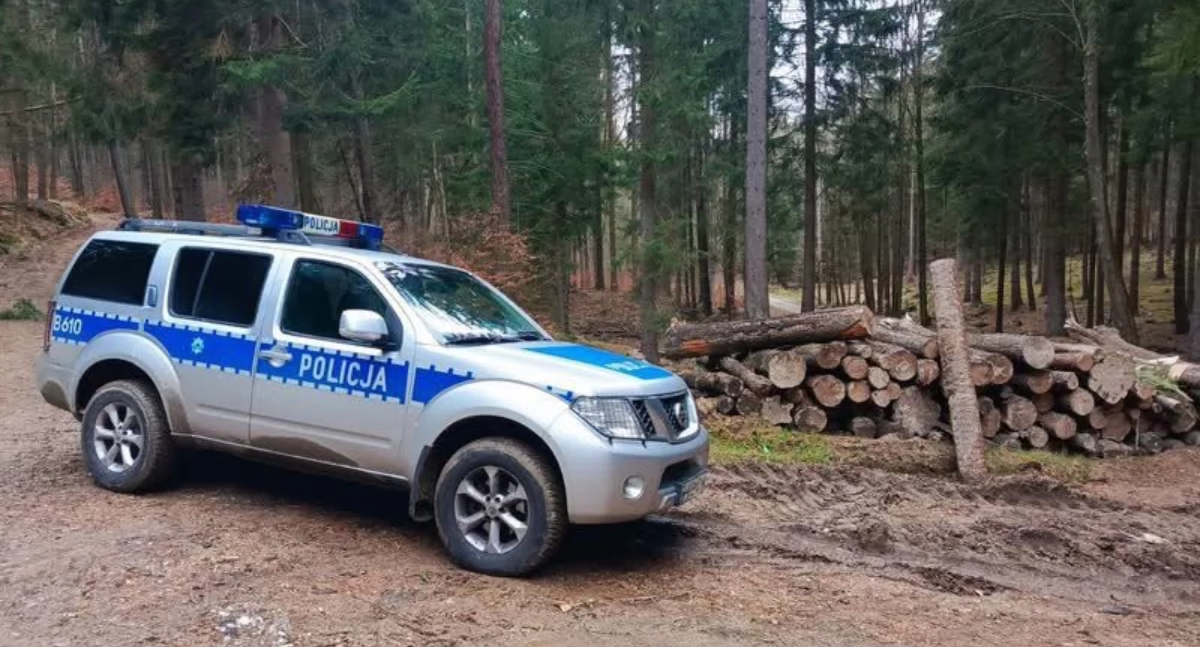 fot. policja Jelenia Góra