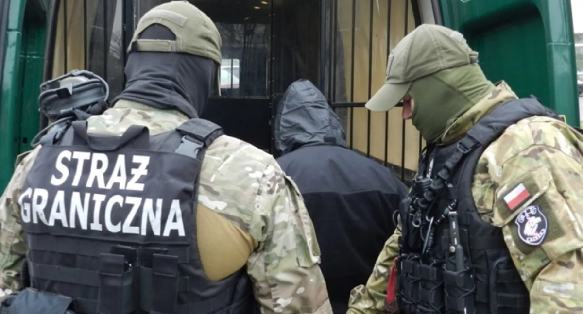 Komunikaty policji, Stanowcza reakcja Straży Granicznej łamanie prawa przez cudzoziemców - zdjęcie, fotografia