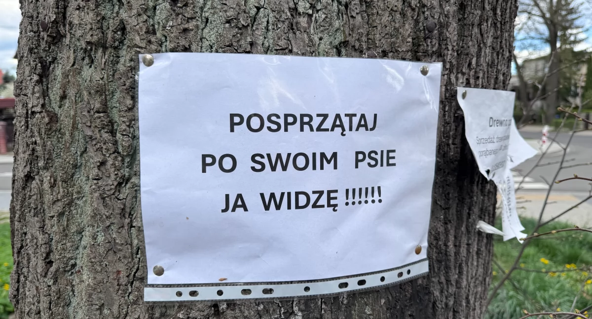 Ważne komunikaty, Sprzątajcie swoich psach właścicieli czworonogów - zdjęcie, fotografia