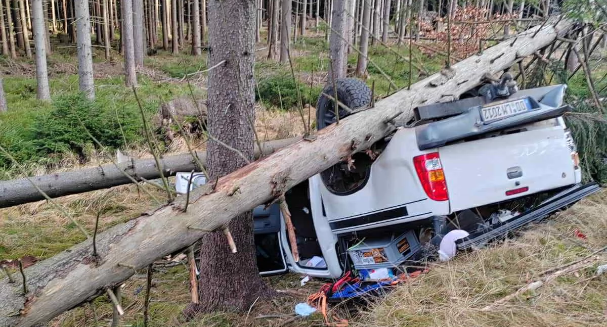 Wypadki drogowe, dachu przygniecione drzewem Wypadek między Szklarską Świeradowem - zdjęcie, fotografia
