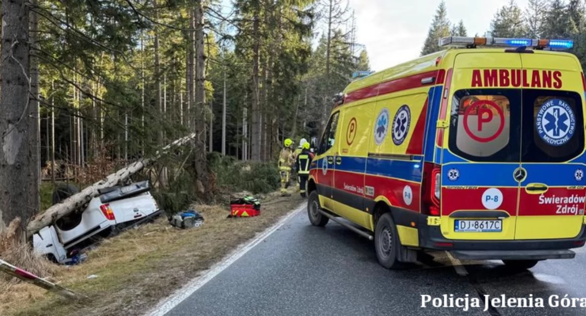 fot. Policja Jelenia Góra