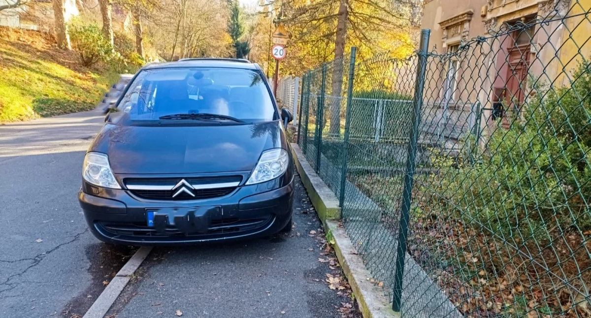 fot. Straż Miejska Jelenia Góra