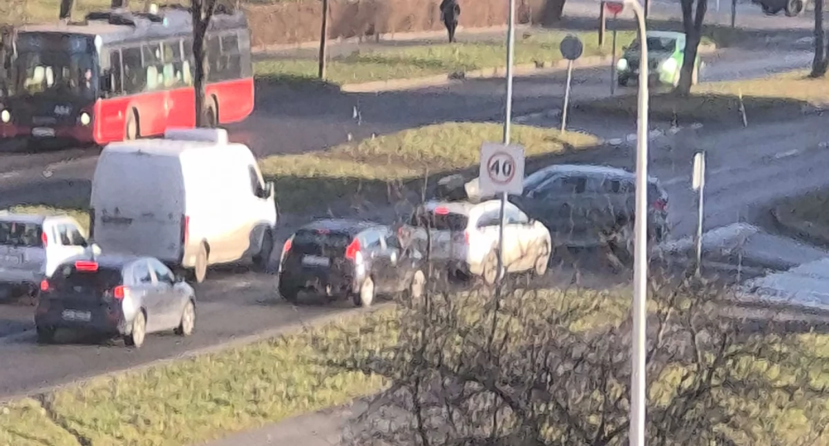 Absurdy, prąd Bacewicz Który - zdjęcie, fotografia