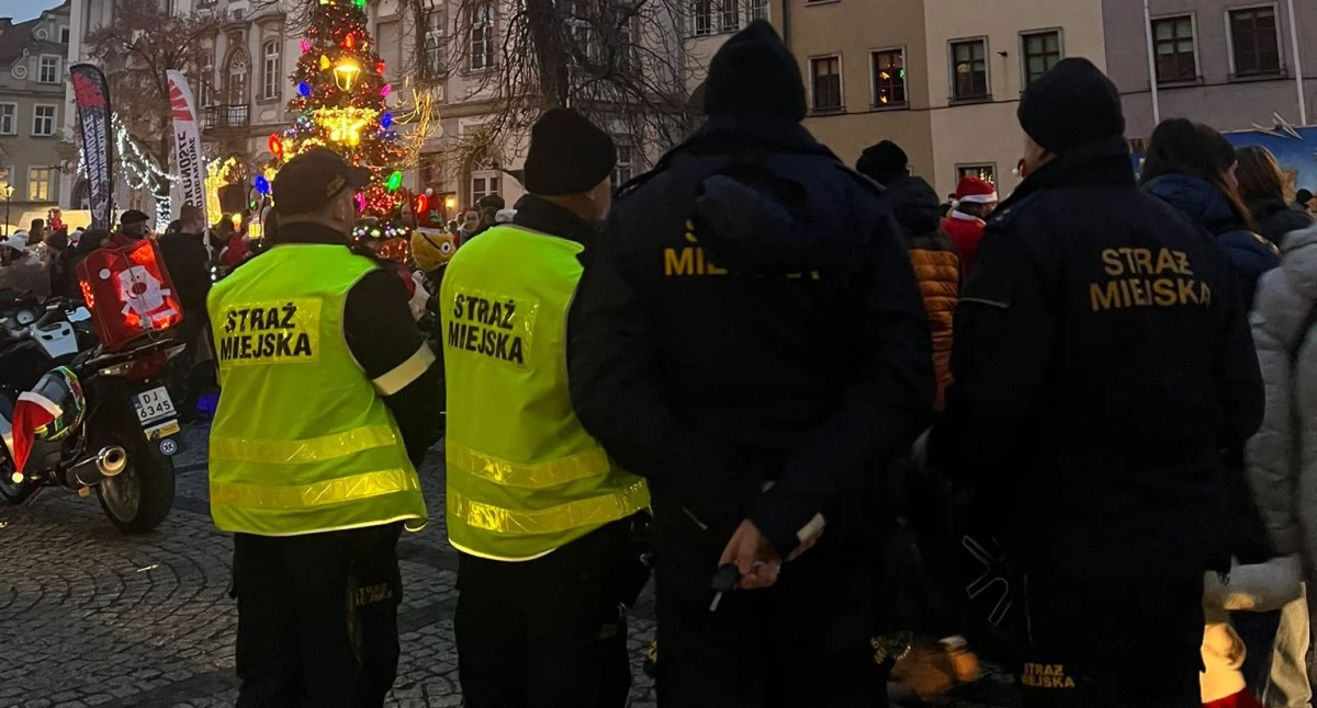 fot. Straż Miejska Jelenia Góra