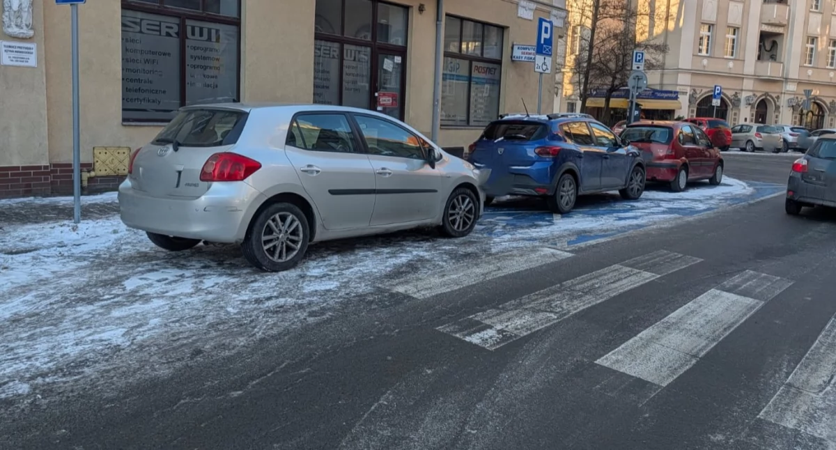 fot. Straż Miejska Jelenia Góra