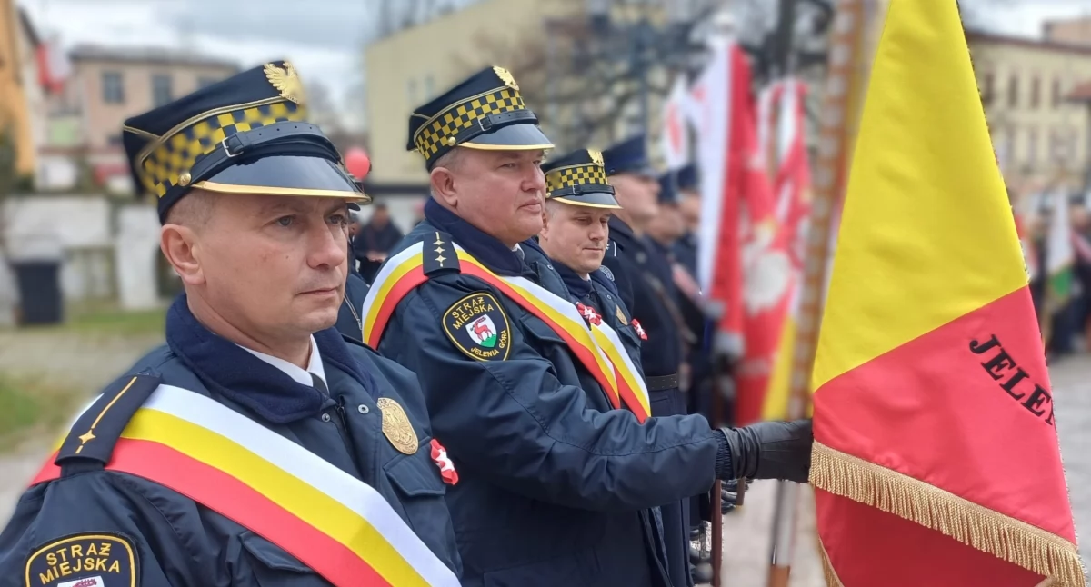 fot. Straż Miejska Jelenia Góra