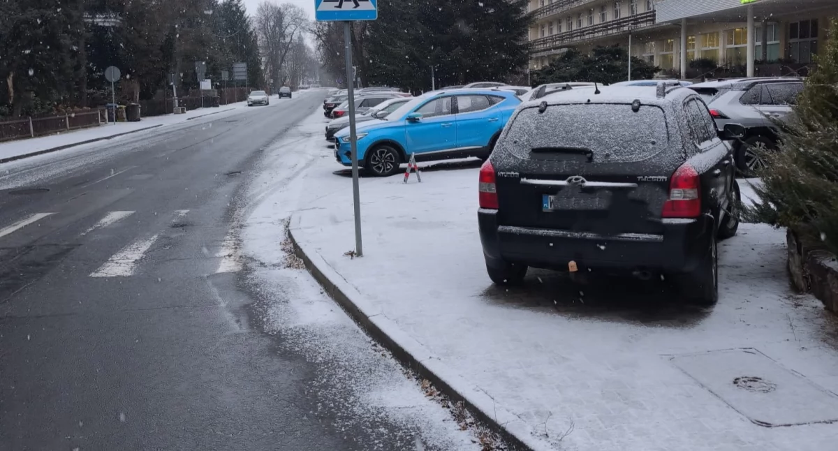 fot. Straż Miejska Jelenia Góra