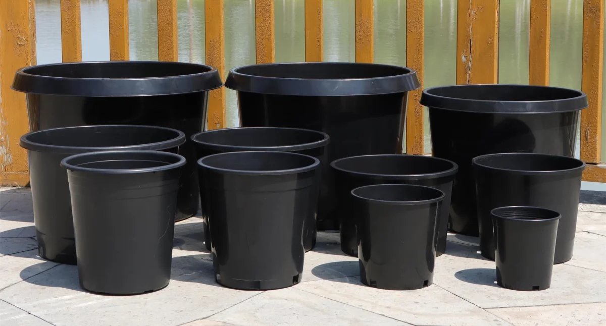Absurdy, Zielony kontra plastikowe doniczki Europejska szykuje regulacje - zdjęcie, fotografia