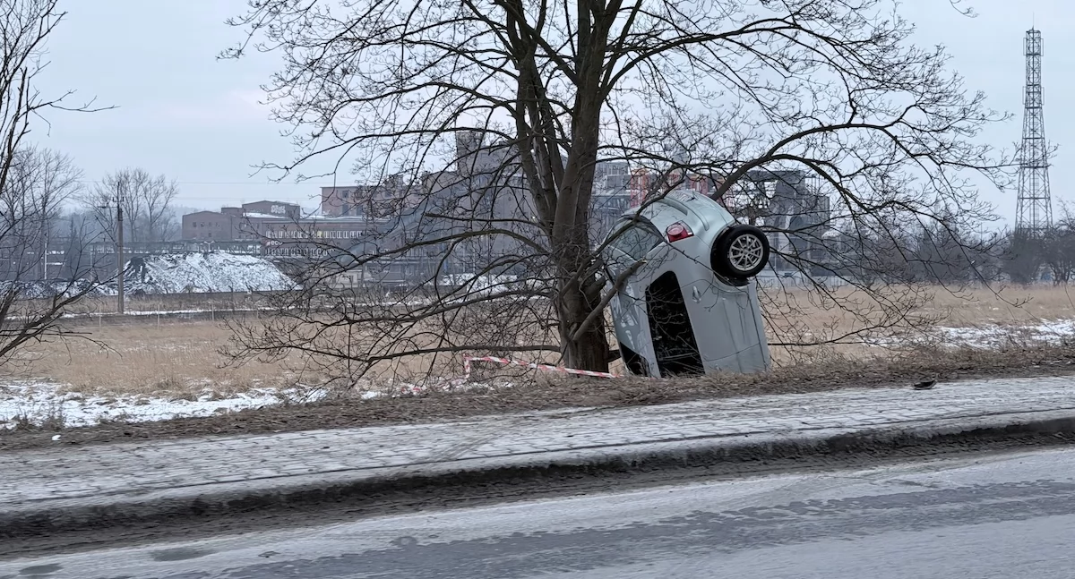 Wypadki drogowe, Volkswagen wbił ziemię zawisł drzewie Nietypowe zdarzenie Spółdzielczej - zdjęcie, fotografia