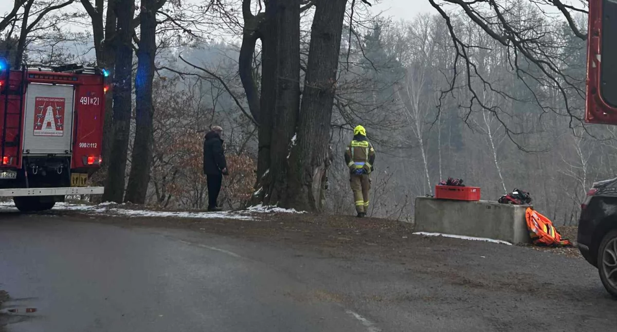 Z ostatniej chwili, Tragedia Pilchowicach Ciało latka leżało brzegu jeziora - zdjęcie, fotografia