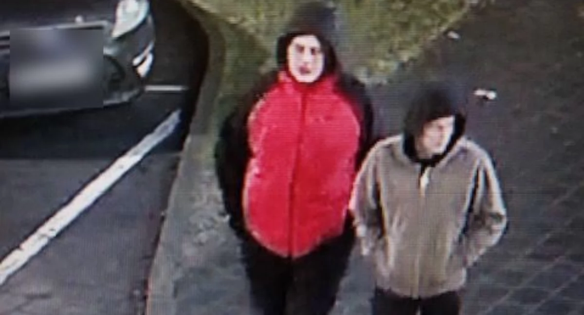 Absurdy, Skandal rynku Bolesławcu Policja szuka osób zdjęć - zdjęcie, fotografia