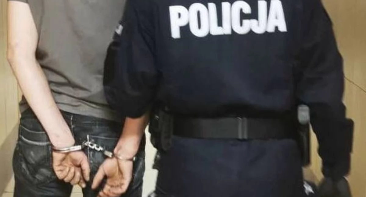 fot. Policja Jelenia Góra