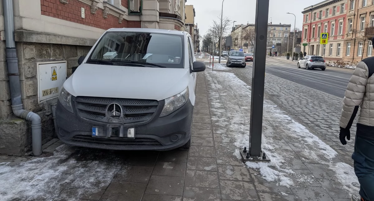 fot. Straż Miejska Jelenia Góra