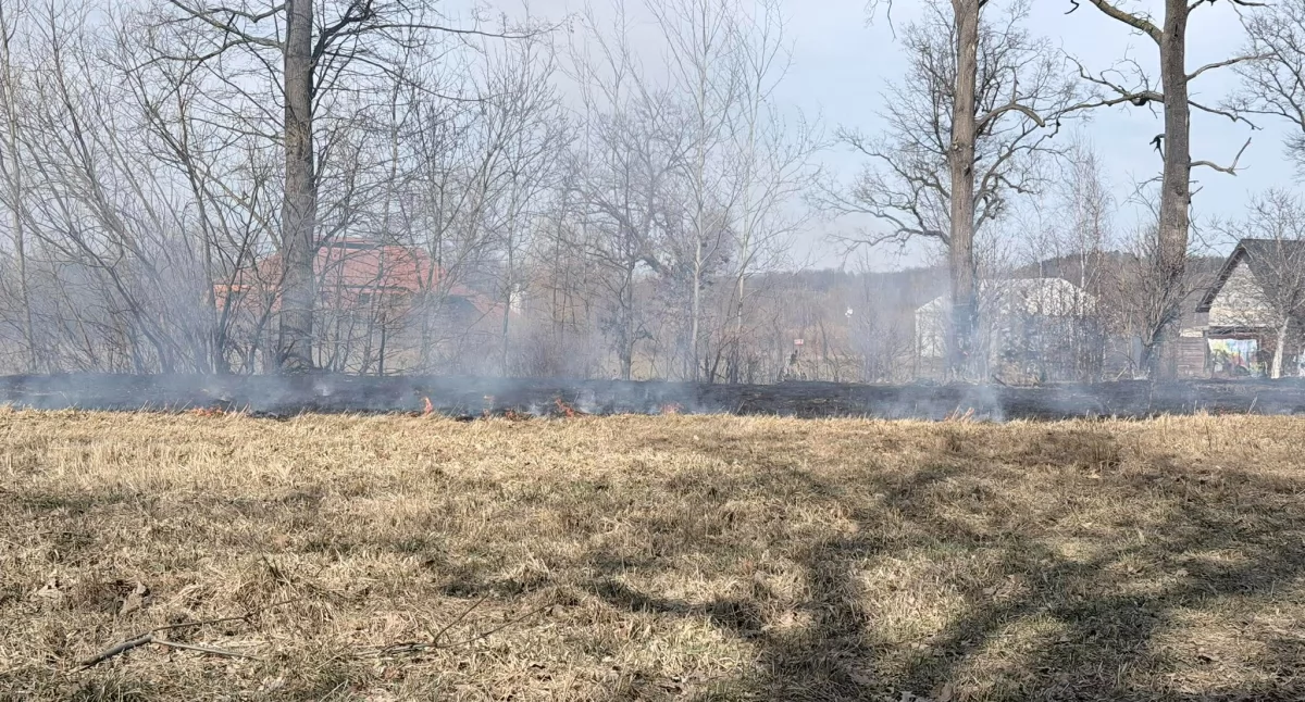 Pożary, Podgórzyn pożar trawy Marczycach drugi w piwnicy budynku Przesiece - zdjęcie, fotografia