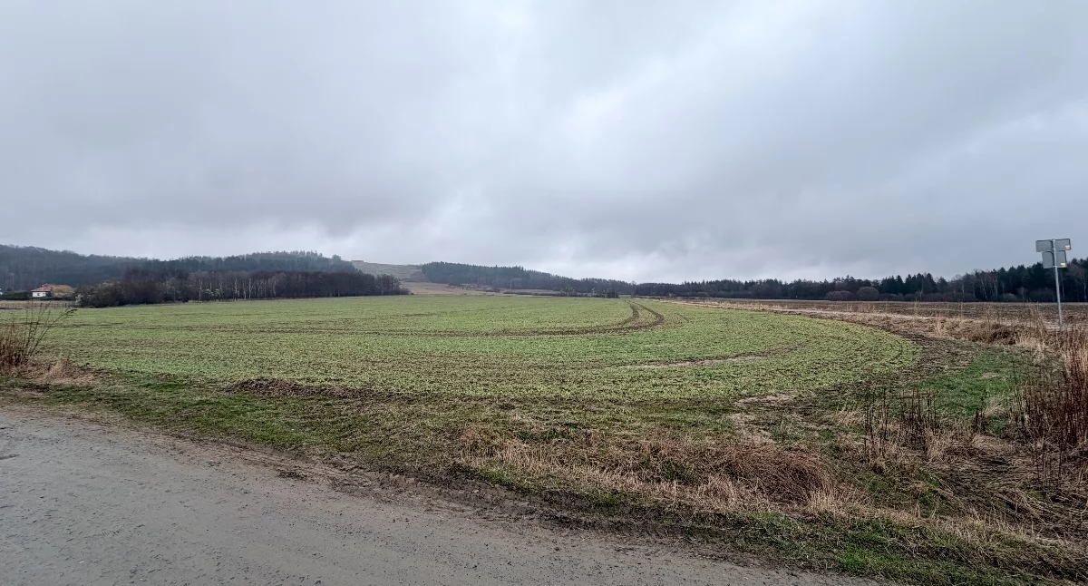 Ważne komunikaty, Fundusz Sołecki kością niezgody Jeżowie Sudeckim - zdjęcie, fotografia