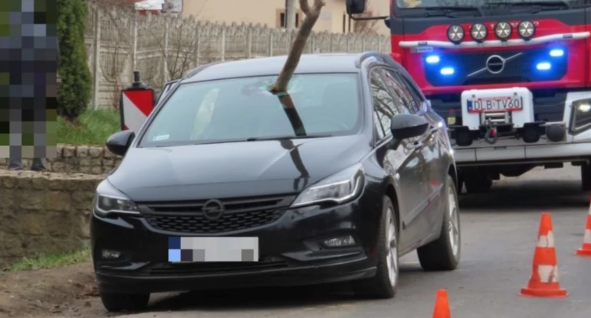 Interwencje, Sekundy tragedii Konar przebił szybę jadącego - zdjęcie, fotografia