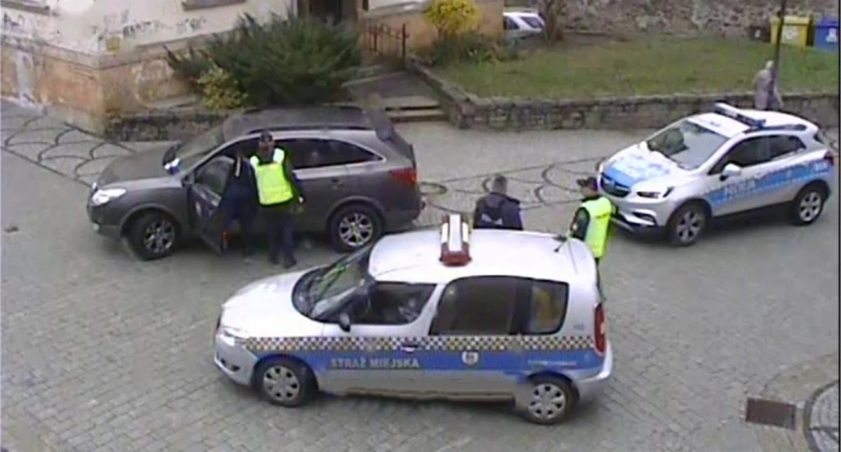 fot. Straż Miejska Jelenia Góra