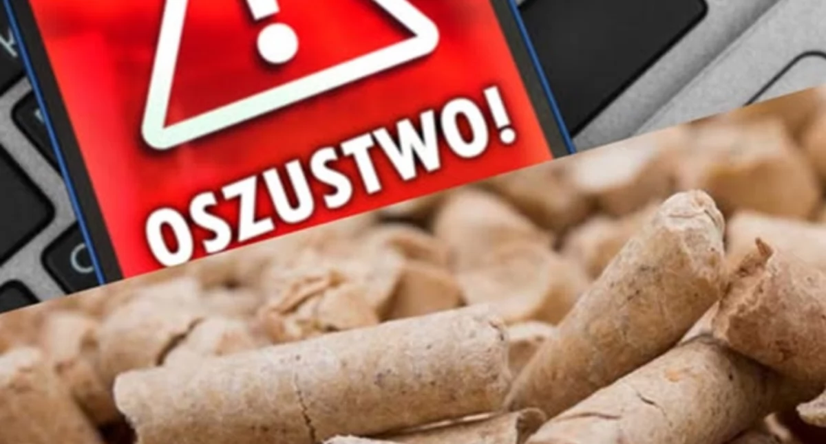 Kronika Kryminalna, Pellet dotarł pieniądze zniknęły Kolejne oszustwo internetowe regionie - zdjęcie, fotografia