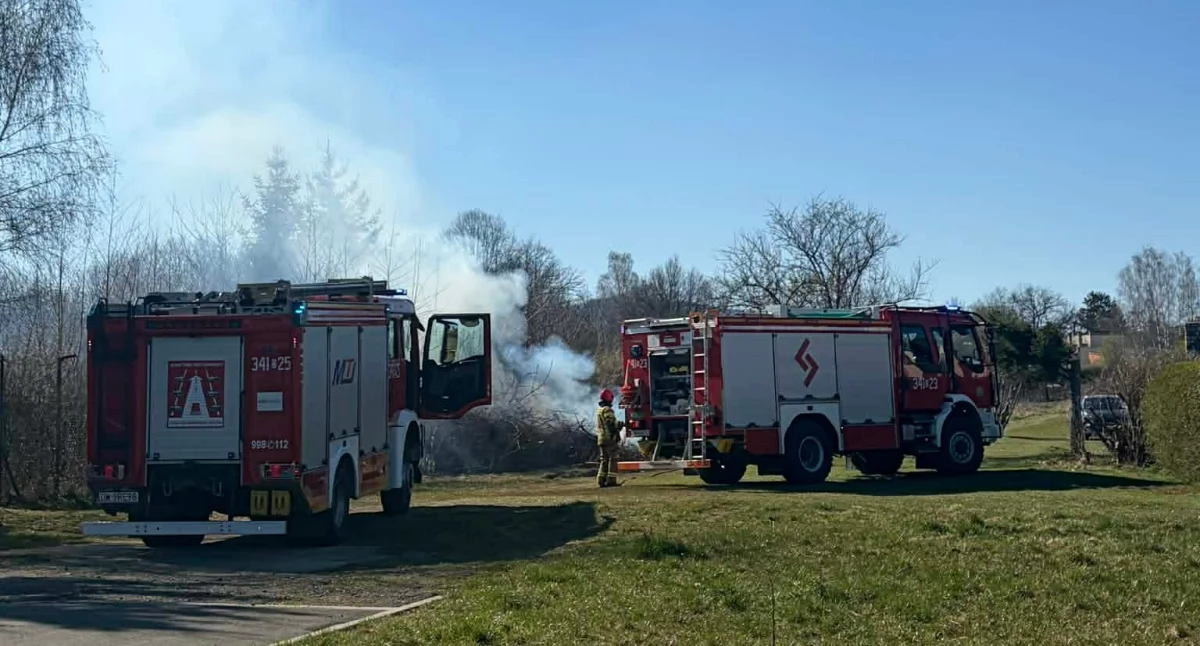 Pożary, Pożar odpadów ulicy Miłosza Cieplicach - zdjęcie, fotografia