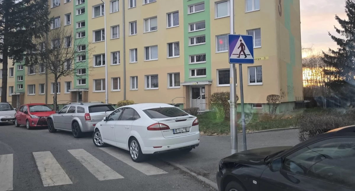 fot. Straż Miejska Jelenia Góra