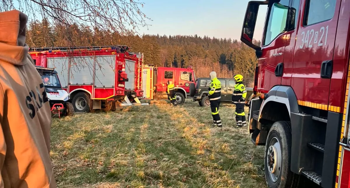 Pożary, Pożar pomiędzy Radomierzem Janowicami Nietypowy finał akcji ratowniczej - zdjęcie, fotografia