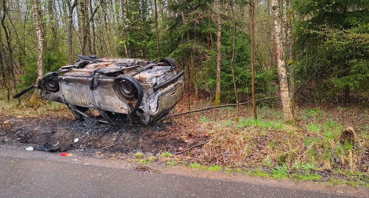 Absurdy, Ktoś przewrócił spalony samochód - zdjęcie, fotografia